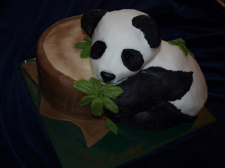 panda