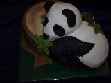 Panda u pařezu