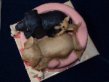 Pět pejsků - detail