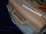 Detail dortu