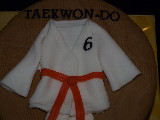 Taekwon-Do