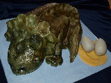 Triceratops s vejci