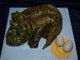 Triceratops s vejci